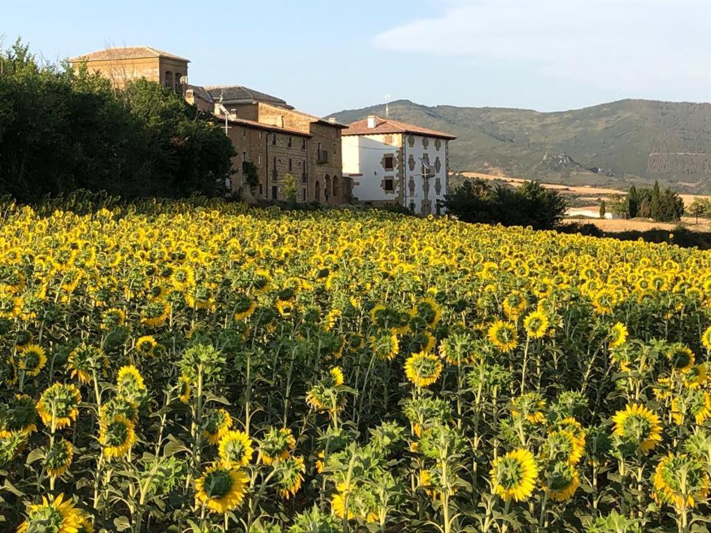 Casa Rural La Sacristana Lacar Экстерьер фото